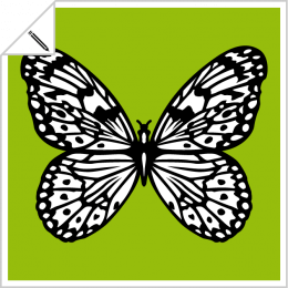 Customizable butterflies to print online, on t-shirts, cups, etc.