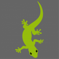 Undulating Gecko seen from above to customize online.