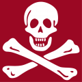 Jolly roger, skull and crossbones of a pirate flag.