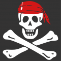 Pirate T-shirt. Jolly roger, pirate symbol for white on black printing. Skull and crossbones emblem.