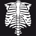 Vector skeleton to customize. Special skeleton for t-shirt printing.