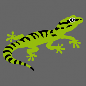 Funny little gecko with stripes, 3-color design to customize online.