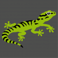 Striped Gecko drawn in profile to customize and print yourself.