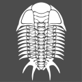 Graphic trilobite skeleton in a special color for t-shirt printing.